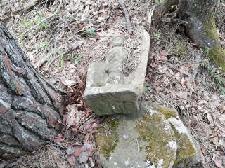 画像に含まれている可能性があるもの:木、屋外